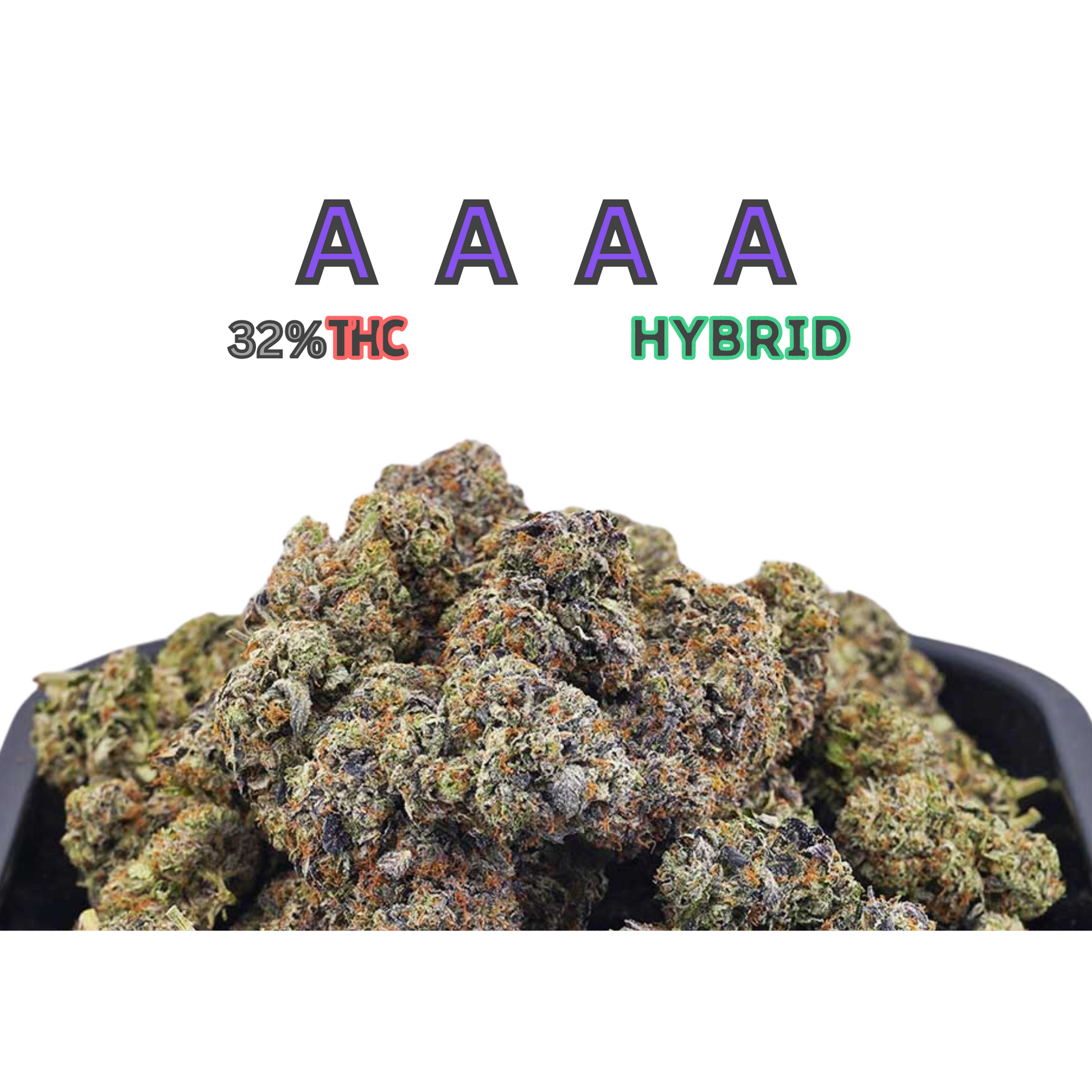 Hawaiian Pink Punch AAAA Hybrid