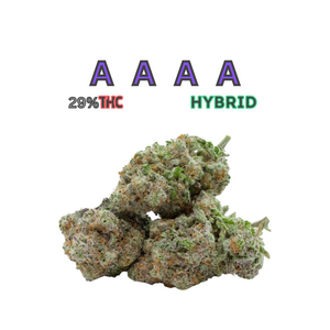 Mac 1 AAAA Hybrid