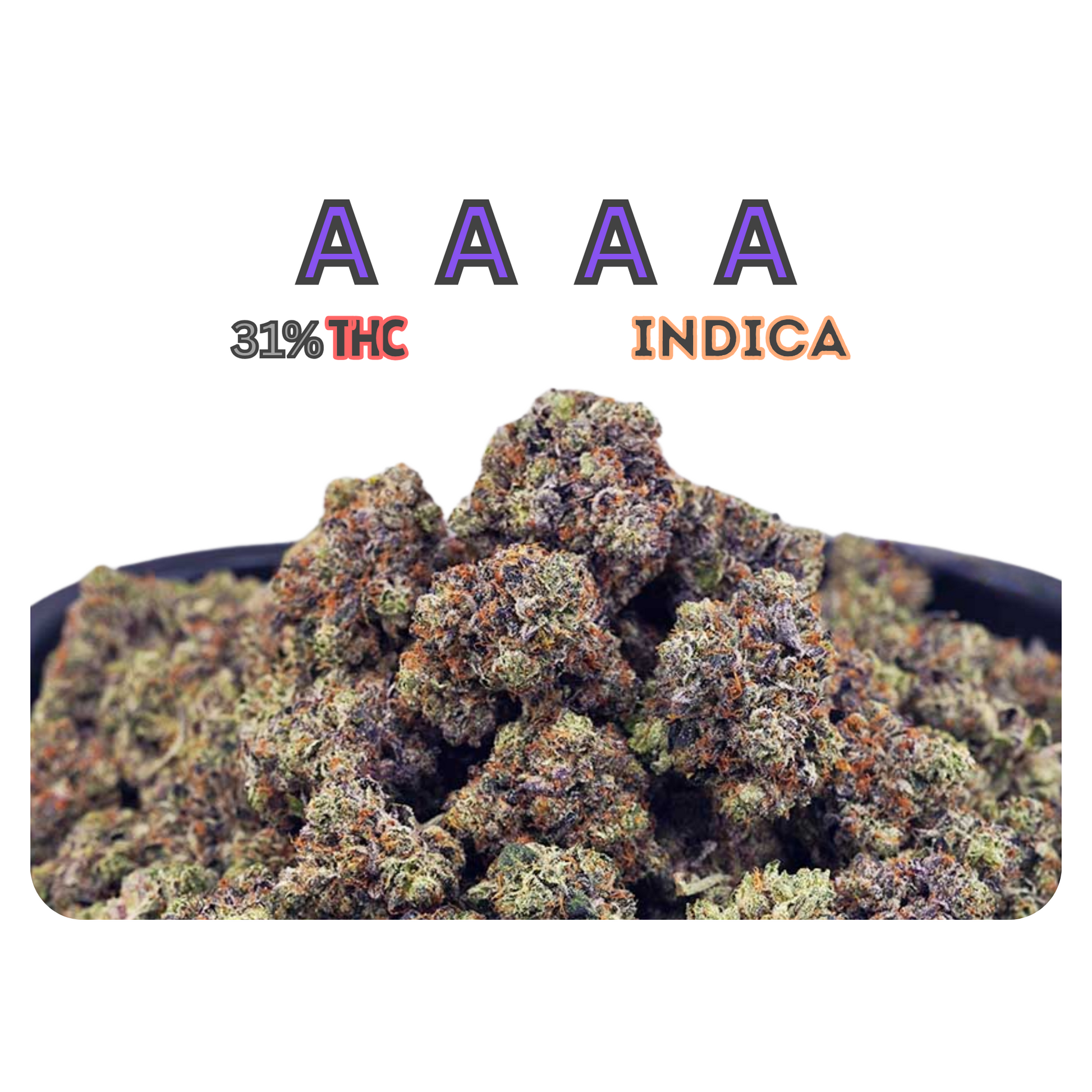 Tom Ford Pink Kush AAAA Indica